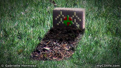 spider grave spider grave