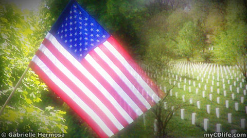 U.S. Flag and Arlington National Cemetery